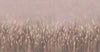 Swaying Wheat Field Wall Mural, Light Purple Windy Wheat Wallpaper, Large Nature Custom Size Wall Covering, Non-Woven, Non-Pasted, Removable, Washable - Walloro Luxury Embossed Textured Wallpaper 