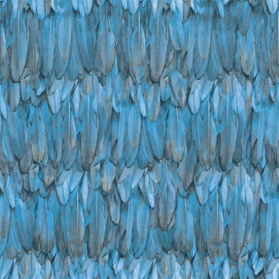 Blue Feathers Pattern Embossed Wallpaper, Tropical 3D Textured Birds Wallcovering - Walloro High End Wallcoverings & More