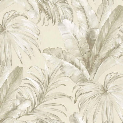 Palm Trees Embossed Wallpaper, Rich Textured White Light Color Wallcovering, Large 114 sq ft Roll, Washable, Sturdy, Plants Leaves Wallpaper - Walloro High End Wallcoverings & More