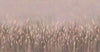 Swaying Wheat Field Wall Mural, Light Purple Windy Wheat Wallpaper, Large Nature Custom Size Wall Covering, Non-Woven, Non-Pasted, Removable, Washable - Walloro High End Wallcoverings & More